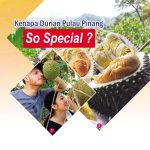 Kenapa Durian Pulau Pinang So Special?