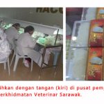 5 Kisah Kejayaan Amalan Pertanian Baik dari Malaysia