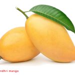 Varieti Mangga Terbaik di Dunia