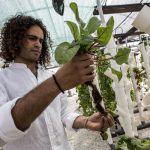 7 Peraturan Untuk Akuaponik