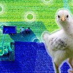 Apakah Pertanian Pintar? Ia Masa Depan Pertanian