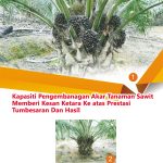Kapasiti Pengembangan Akar Tanaman Sawit Memberi Kesan Ketara Ke atas Prestasi Tumbesaran Dan Hasil