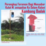 Perangkap Feromon Bagi Menyebar Kulat M. anispoliae Ke Dalam Koloni Kumbang Badak