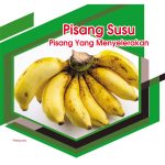 Pisang Susu Pisang Yang Menyelerakan