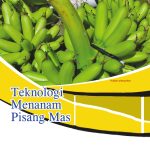Teknologi Menanam Pisang Mas
