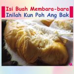Isi Buah Membara-bara Inilah Kun Poh Ang Bak