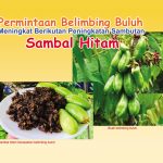 Permintaan Belimbing Buluh Meningkat Berikutan Peningkatan Sambutan Sambal Hitam