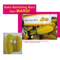 Baka Belimbing Baru Dari MARDI