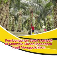 Pembangunan Sawit Kompak Di Malaysia Sudah Mencapai Hasil Menggalakkan