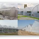 Pengenalan Sistem Fertigasi (Bahagian 1/2)