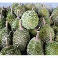 Malaysia Dan Vietnam Mencabar Thailand Dalam Pasaran Durian China