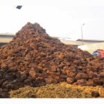 Industri Biojisim Minyak Sawit Mempunyai Potensi Yang Luas, kata Johari