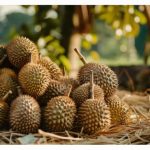 China Melaporkan Kadmium Berlebihan dalam Beberapa Penghantaran Durian Thai