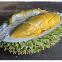 Raja Tupai? Durian Langka Untuk Menyaingi Populariti Musang King Pada Harga RM1K !