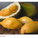 Udang Merah (D175) Vs D13 (Golden Bun, D226) Pemula Peminat Durian Mudah Keliru !