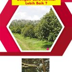 Penjagaan Pokok Durian Dengan Cara Normal Lebih Baik ?