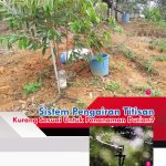 Sistem Pengairan Titisan Kurang Sesuai Untuk Penanaman Durian?
