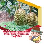Projek Pembangunan Kebun Durian Perlu Perancangan Yang Teliti