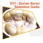 D11 – Durian Berisi Selembut Gadis