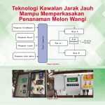 Teknologi Kawalan Jarak Jauh Mampu Memperkasakan Penanaman Melon Wangi