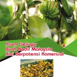 Asam Gelugur Buah Nadir Malaysia Kini Berpotensi Komersial
