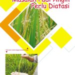Masalah Padi Angin Perlu Diatasi