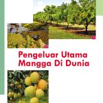 Pengeluar Utama Mangga Di Dunia