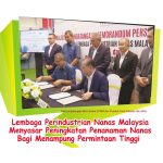 Lembaga Perindustrian Nanas Malaysia Menyasar Peningkatan Penanaman Nanas Bagi Menampung Permintaan Tinggi