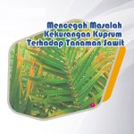Mencegah Masalah Kekurangan Kuprum Terhadap Tanaman Sawit