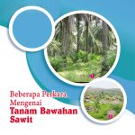 Beberapa Perkara Mengenai Tanam Bawahan Sawit