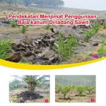 Pendekatan Menjimat Penggunaan Baja kalium Di ladang Sawit