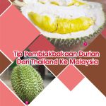 Tip Pembiakbakaan Durian Dari Thailand Ke Malaysia