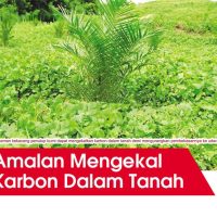 Amalan Mengekal Karbon Dalam Tanah
