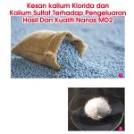 Kesan kalium Klorida dan Kalium Sulfat Terhadap Pengeluaran Hasil Dan Kualiti Nanas MD2