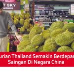 Durian Thailand Semakin Berdepan Saingan Di Negara China