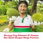 Musang King Ditanami Di Vietnam Dan Dijual Dengan Harga Premium