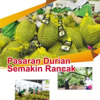 Pasaran Durian Semakin Rancak