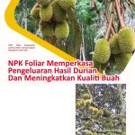 NPK Foliar Memperkasa Pengeluaran Hasil Durian Dan Meningkatkan Kualiti Buah