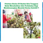 Pekebun Durian Di Rantau Asia Tenggara Bakal Menubuhkan Satu Pertubuhan Bagi Membincangkan Masalah Durian Kolektif?