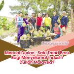 Menuai Durian : Satu Trend Baru Bagi Menyelamat Industri Durian Malaysia?