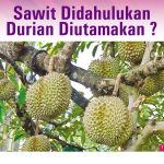 Sawit Didahulukan Durian Diutamakan?