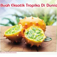 Buah Eksotik Tropika Di Dunia