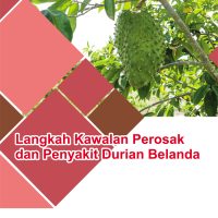 Langkah Kawalan Perosak dan Penyakit Durian Belanda