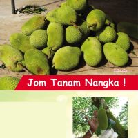 Jom Tanam Nangka !