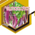 Kulat Arbuskular Mikoriza Unggul Sepanjang Masa