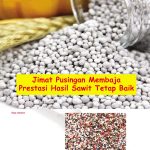 Jimat Pusingan Membaja Prestasi Hasil Sawit Tetap Baik