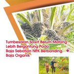 Tumbesaran Sawit Belum Matang Lebih Bergantung Pada Baja Sebatian NPK Berbanding Baja Organik