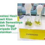 Prestasi Hasil Sawit Klon Tidak Semestinya Lebih Tinggi Daripada DxP Melainkan …..