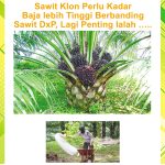 Sawit Klon Perlu Kadar Baja lebih Tinggi Berbanding Sawit DxP, Lagi Penting lalah…..