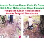 Kaedah Suntikan Racun Kimia Ke Dalam Pokok Sakit Akan Melanjutkan Hayat Ekonomi Pokok – Ringkasan Kesan Hexaconazole Ke atas Penyakit Ganoderma